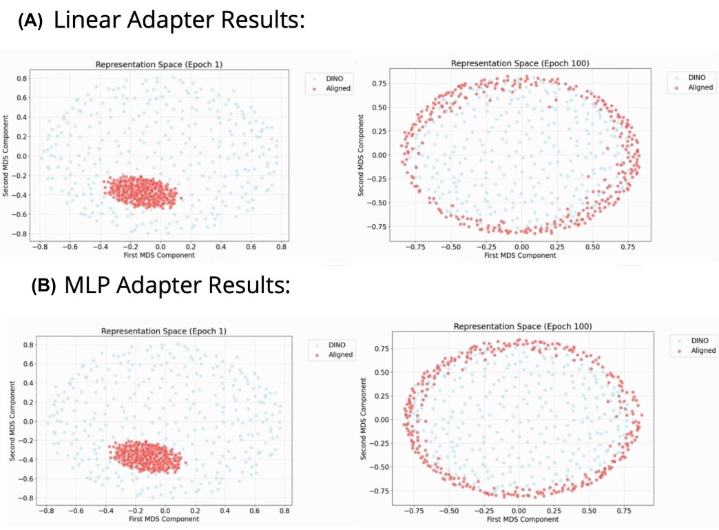 MDS Alignment Visualization