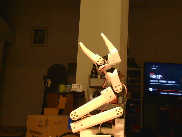 Arm at home position
